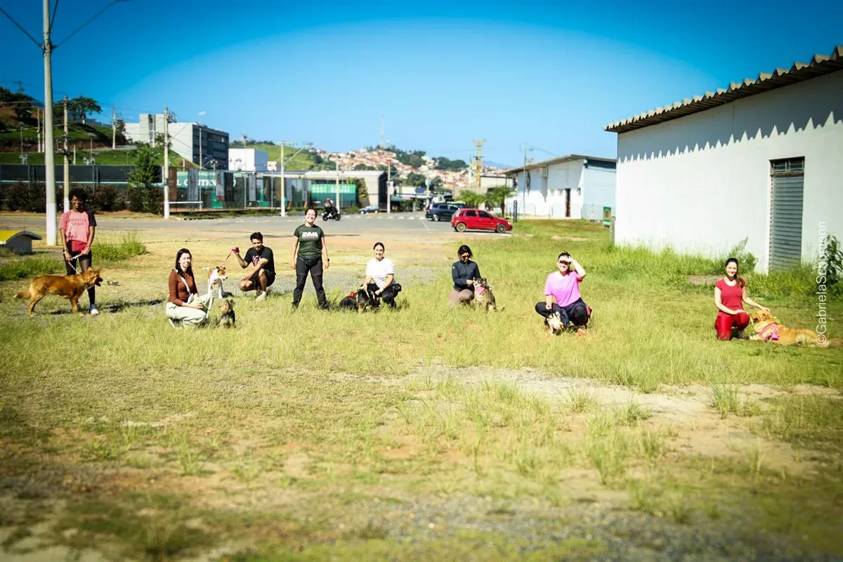 Exercício de foco em meio a distrações