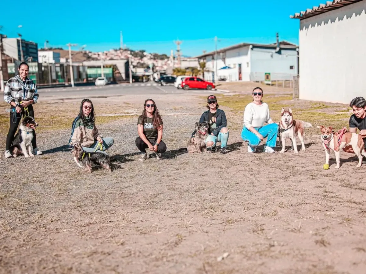 Trabalho de convivência entre cães no grupo