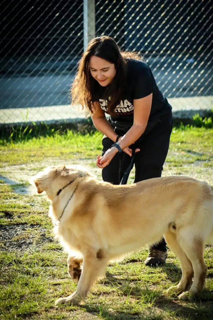 Júlia avaliando o comportamento de um cão
